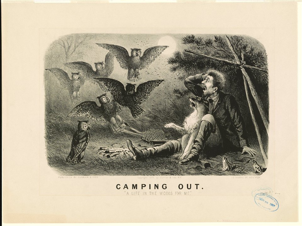 Camping out- A life in the woods for me LCCN90714156