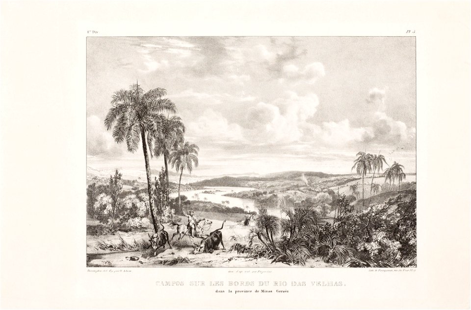 Campos sur les bords du rio das Velhas dans la province de Minas Geraës, da Coleção Brasiliana Iconográfica