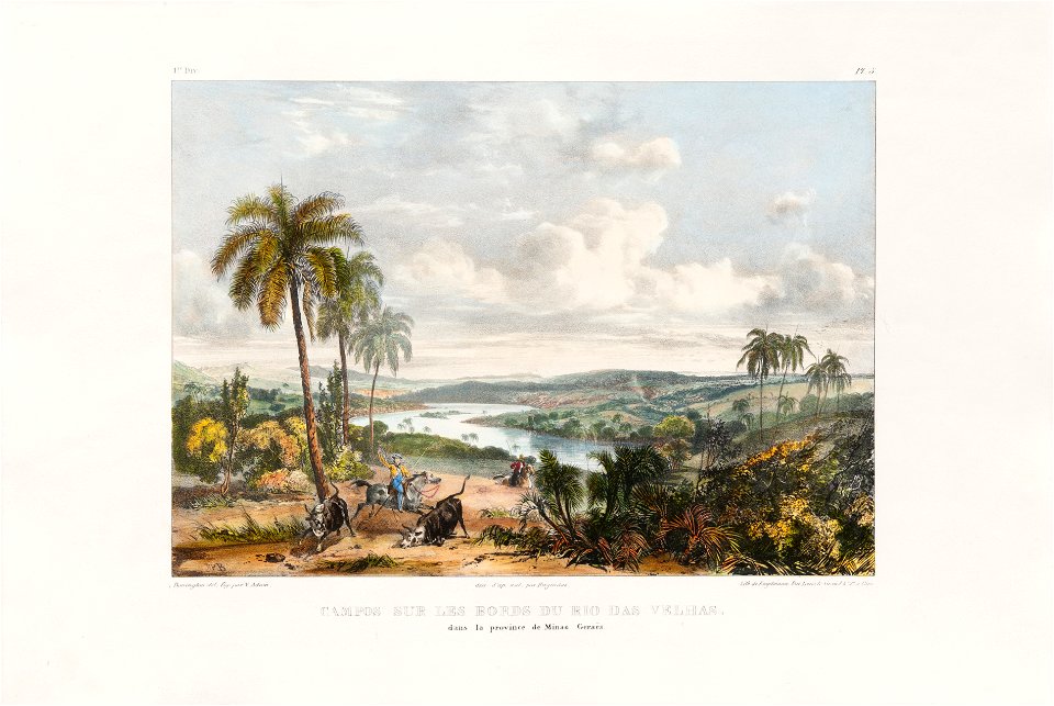 Campos sur les boards du rio das Velhas – dans la province de Minas Geraes, da Coleção Brasiliana Iconográfica