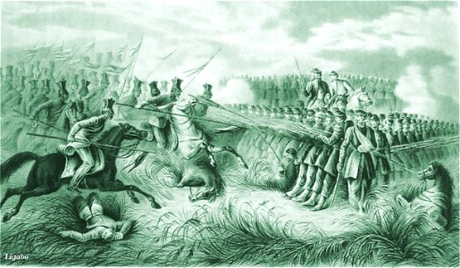 CampoMedoleUlani1859