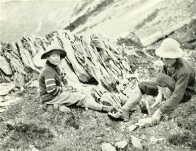 Canadian Alpine Journal I, 2, 024