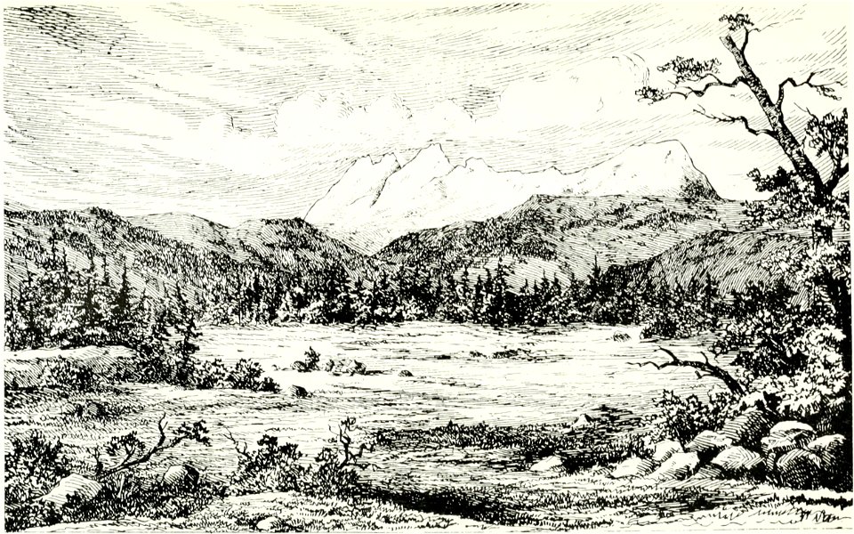 Canadian Alpine Journal I, 1, 005