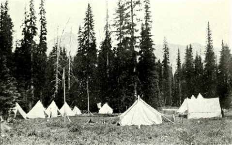Canadian Alpine Journal I, 1, 015