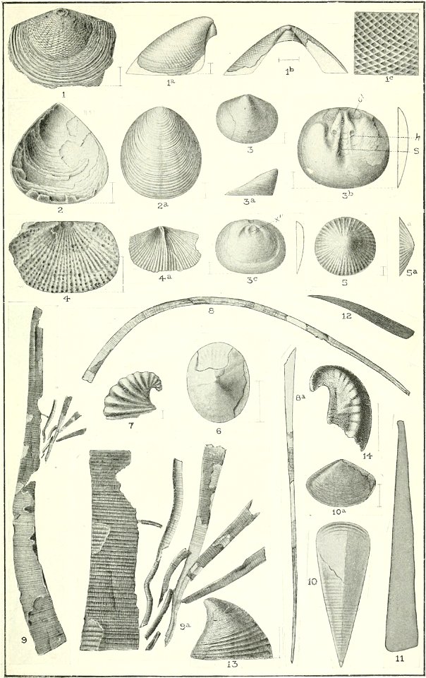 Canadian Alpine Journal I, 2, 027
