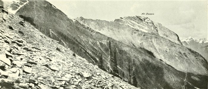 Canadian Alpine Journal I, 2, 026
