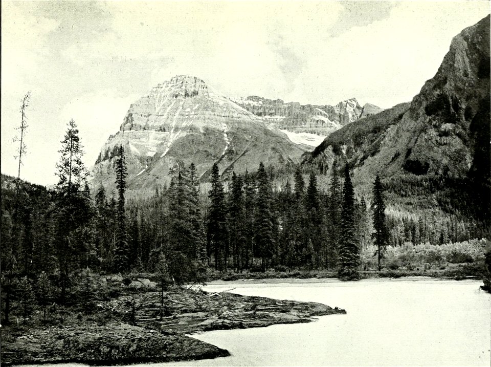 Canadian Alpine Journal I, 1, 042