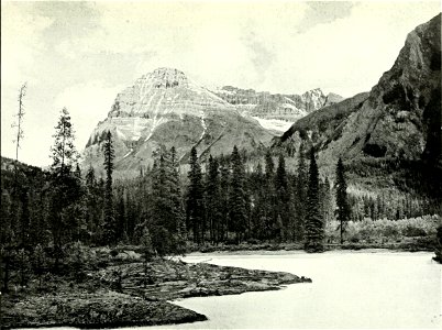 Canadian Alpine Journal I, 1, 042