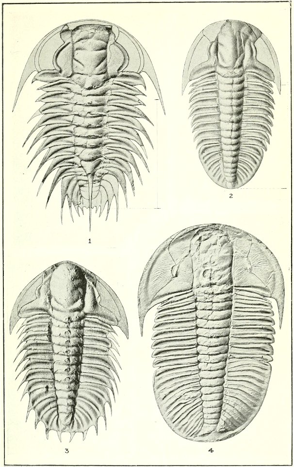 Canadian Alpine Journal I, 2, 030
