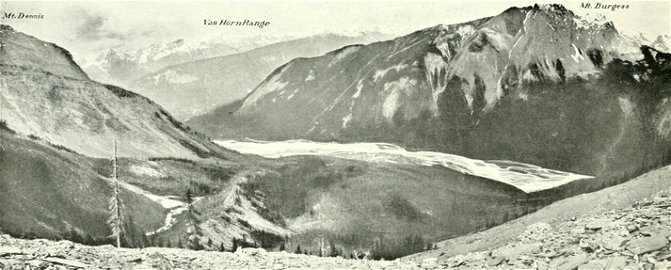 Canadian Alpine Journal I, 2, 025