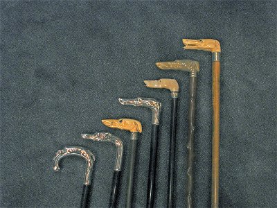Canes with greyhound heads, Paris