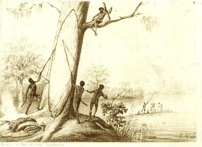 Canoe making