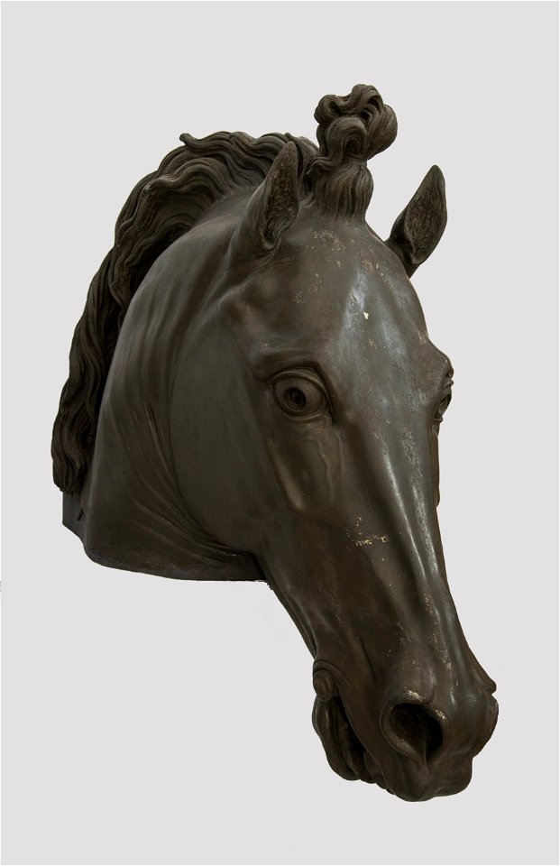 Canova - Testa di Cavallo colossale, 1819-1821 c., Inv. S60