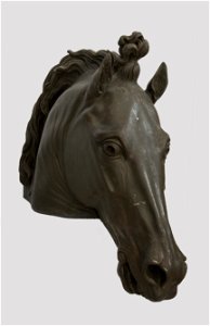 Canova - Testa di Cavallo colossale, 1819-1821 c., Inv. S60