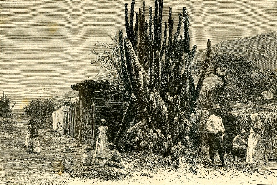 Capanne e abitanti dei sobborghi di Panama