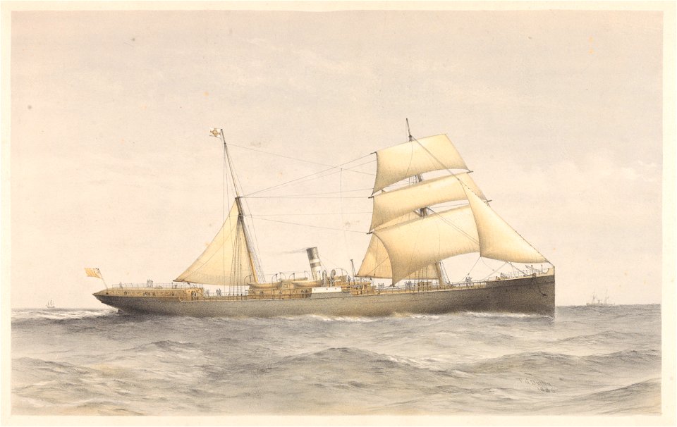 Cape and Natal Line S.S. Majuba or Elmina RMG PY5303