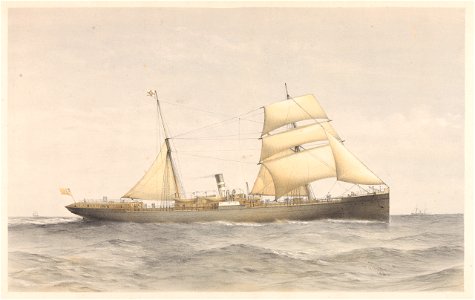 Cape and Natal Line S.S. Majuba or Elmina RMG PY5303