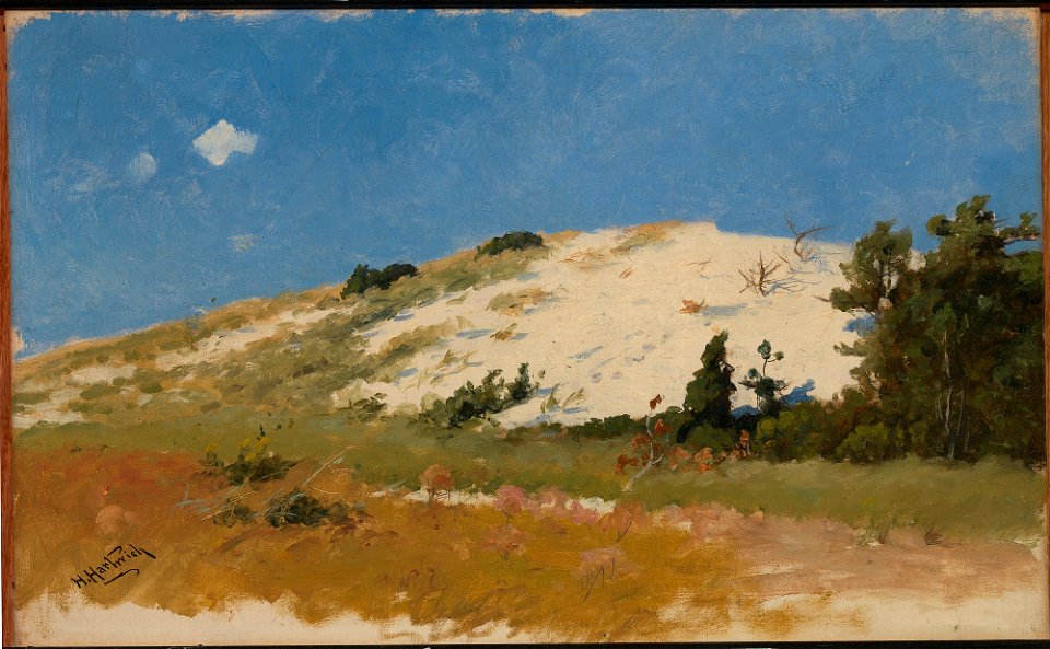 Cape Cod, Sand Dune SAAM-1965.14.1 2