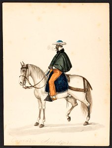 Capeador Arredondo