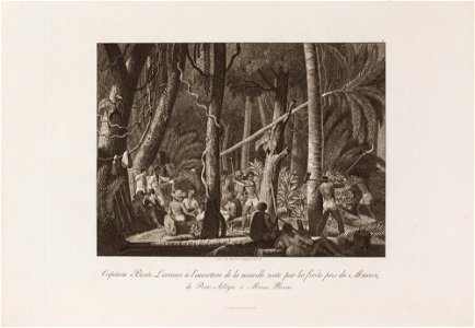 Capitam Bento Lourenço à l´ouverture de la nouvelle route par les forêts près Mucuri, de Porto = Allègre à Minas Novas, da Coleção Brasiliana Iconográfica