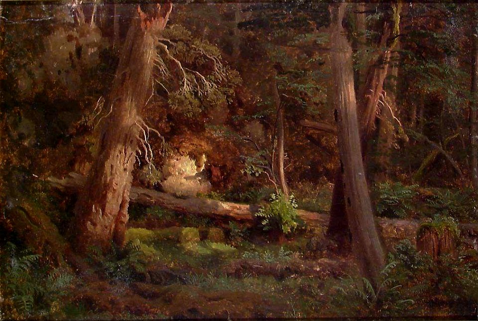 August Cappelen - Forest Study - NG.M.00289-009 - National Museum of Art, Architecture and Design