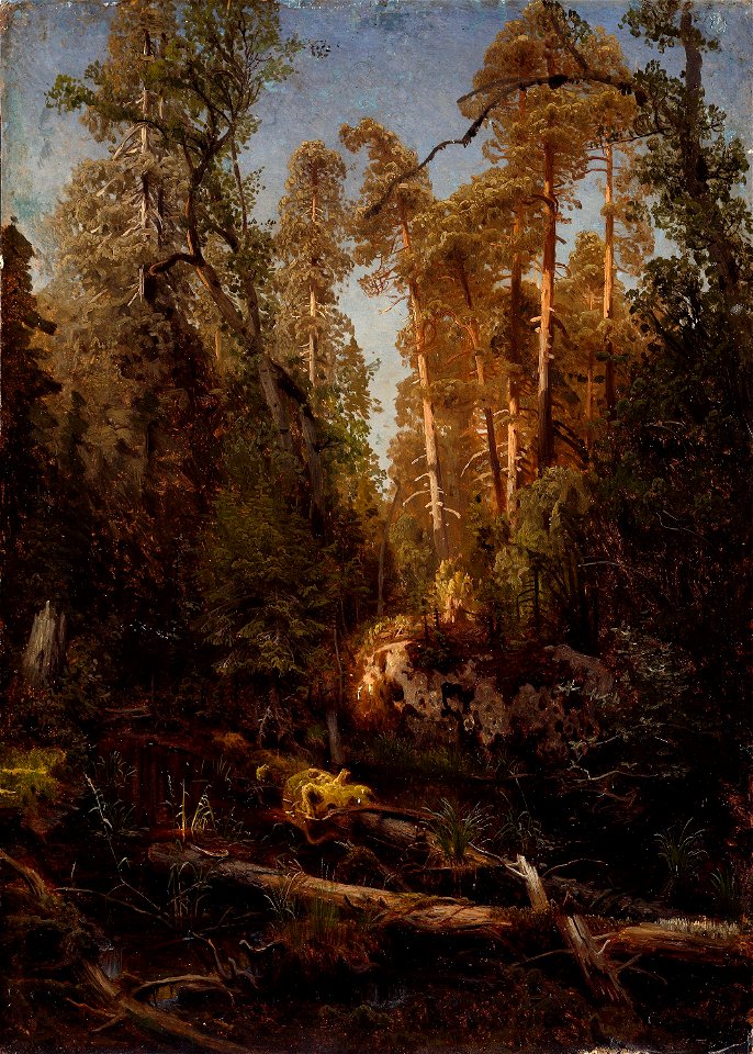 August Cappelen - Forest Study - NG.M.00289-014 - National Museum of Art, Architecture and Design