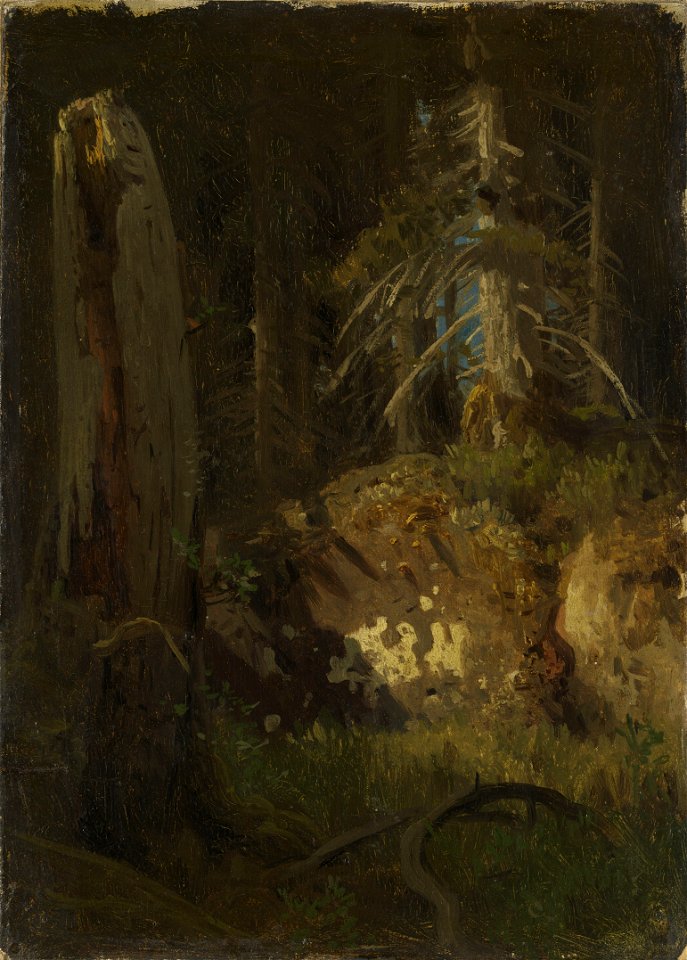 August Cappelen - Landscape Study with Decaying Trees - NG.M.00289-013 - National Museum of Art, Architecture and Design