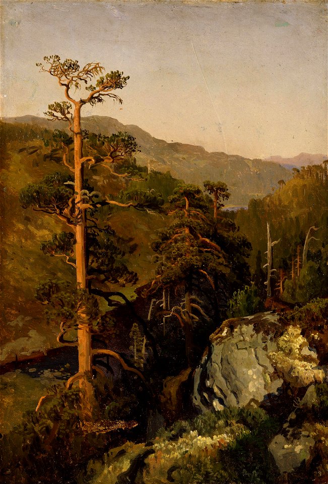 August Cappelen - Rocky Landscape with Pinetreees - NG.M.00289-008 - National Museum of Art, Architecture and Design