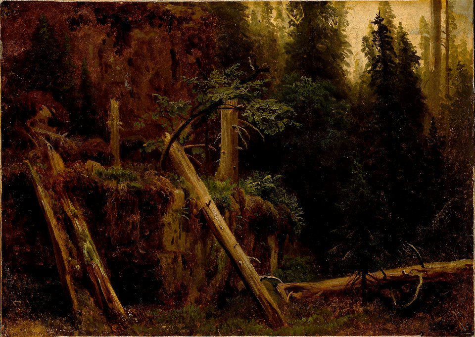 August Cappelen - Landscape Study with decaying Trees - NG.M.00289-016 - National Museum of Art, Architecture and Design
