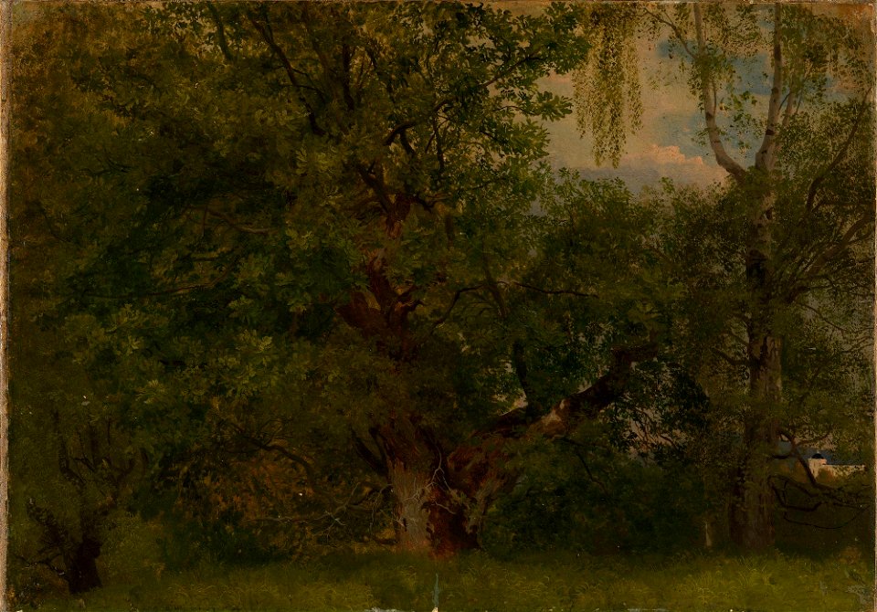 August Cappelen - Wood near Ulefoss - NG.M.00289-007 - National Museum of Art, Architecture and Design