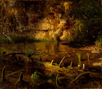 August Cappelen - Study of a fallen Tree - NG.M.00289-001 - National Museum of Art, Architecture and Design