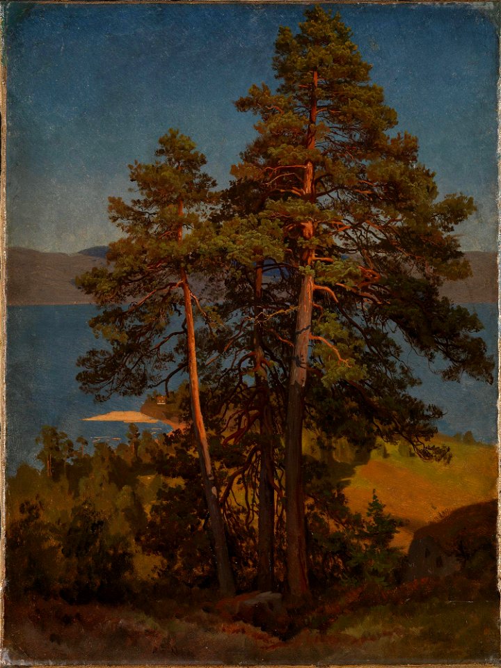 August Cappelen - Pinetrees - NG.M.00289-006 - National Museum of Art, Architecture and Design