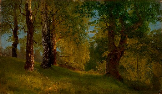August Cappelen - Study of a Wood - NG.M.00289-020 - National Museum of Art, Architecture and Design