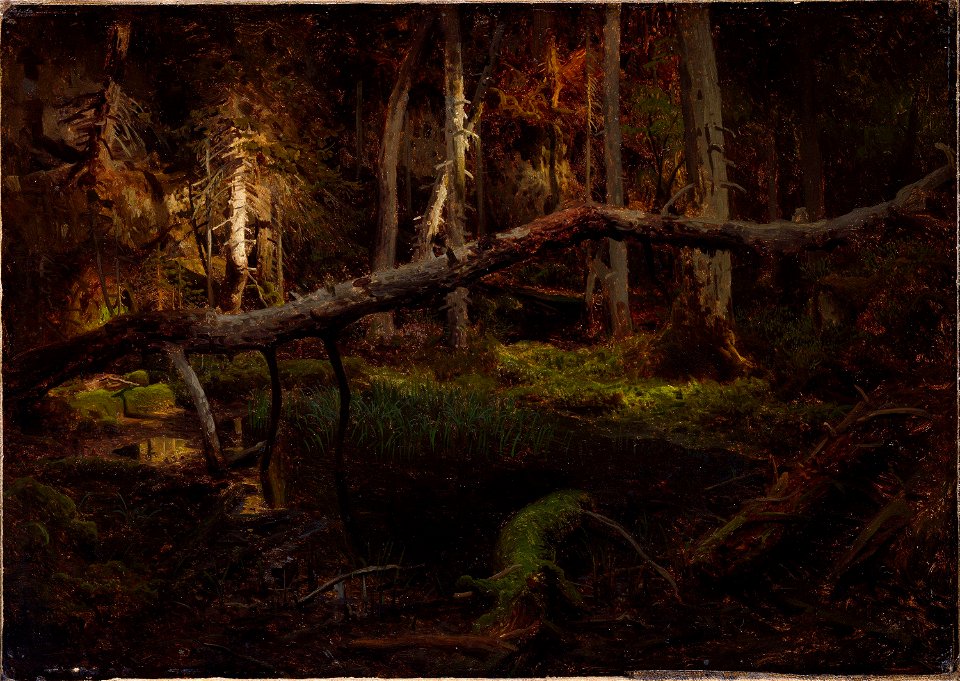 August Cappelen - Study of a Decaying Wood - NG.M.00289-004 - National Museum of Art, Architecture and Design