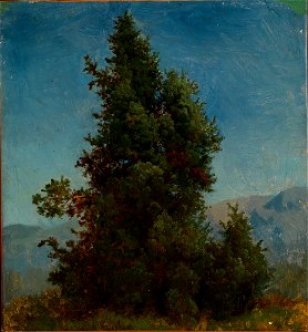 August Cappelen - Study of Trees - NG.M.02410 - National Museum of Art, Architecture and Design