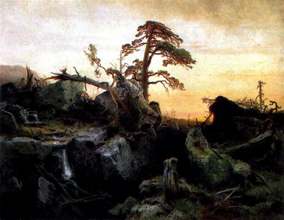 Sterbender Urwald Herman August Cappelen