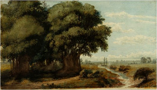 Caprocho - Prilidiano Pueyrredón