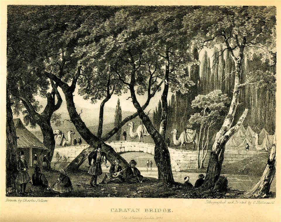 Caravan bridge - Fellows Charles - 1839