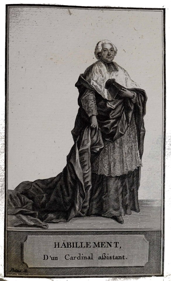 Cardinal Louis XVI Patas06092