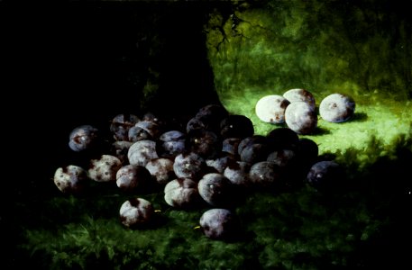 Carducius Plantagenet Ream - Plums - 72.137.2 - Minneapolis Institute of Arts