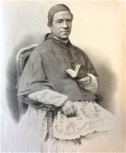Cardinal Quaglia