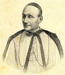 Cardinale Egidio Mauri, arcivescovo di Ferrara