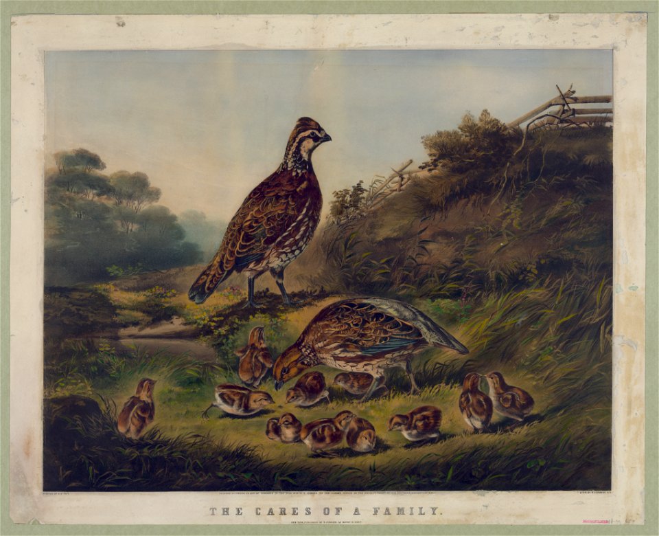 Cares of a family - painted by A.F. Tait ; lith. by N. Currier, N.Y. LCCN90714198