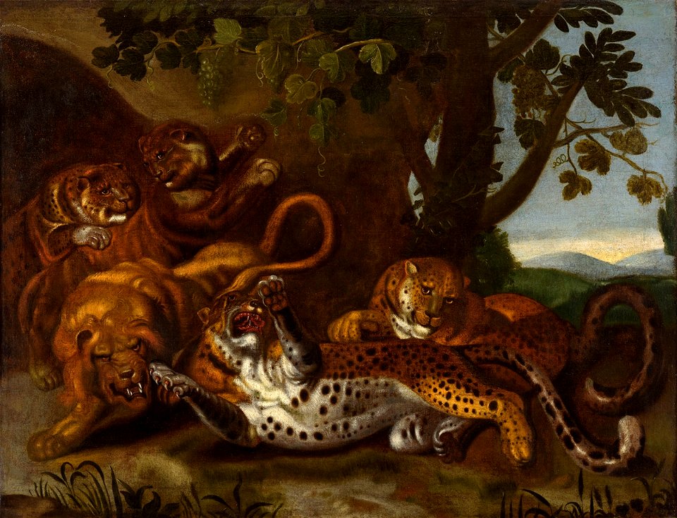 Carl Borromäus Ruthart Tiger Löwe und Leoparden
