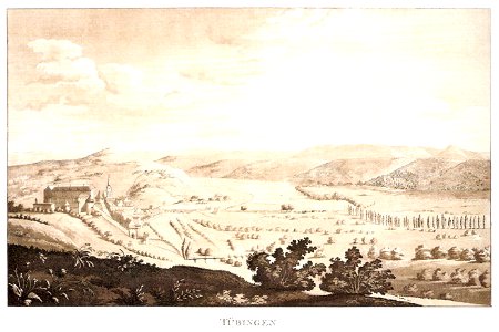 Carl F. Doerr - Tübingen und Neckartal vom Schlossberg, Aquatinta ca1820 Inv.1514 (SW086)