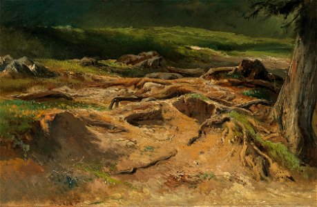 Carl Franz Emanuel Haunold Waldstudie