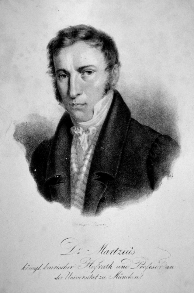 Carl FRiedrich Philipp Martius Litho