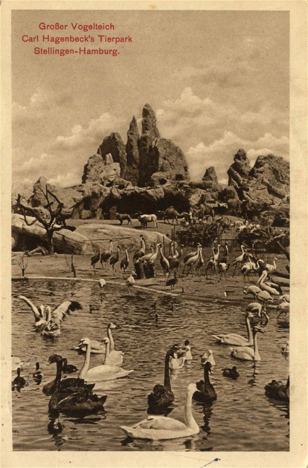 Carl Hagenbecks Tierpark Grosser Vogelteich1913