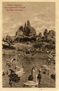 Carl Hagenbecks Tierpark Grosser Vogelteich1913