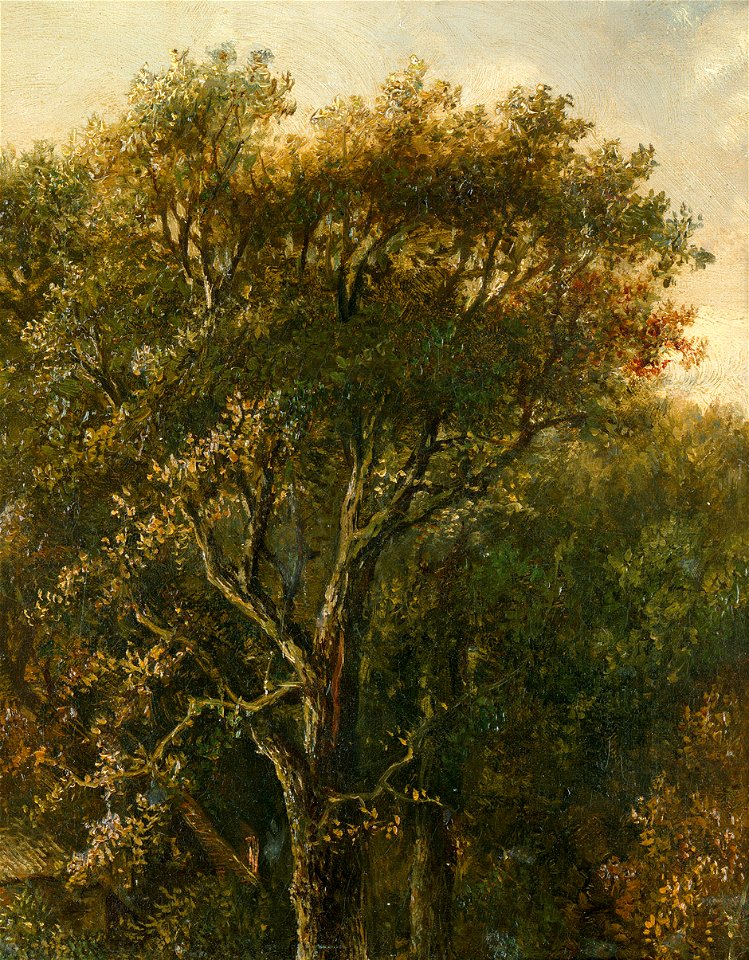 Carl Gustav Carus - Waldstück mit Eiche