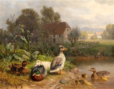 Carl Jutz Enten am Teich